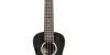 Kala All Solid Salt & Pepper Doghair Mahogany Concert Ukulele with Bag