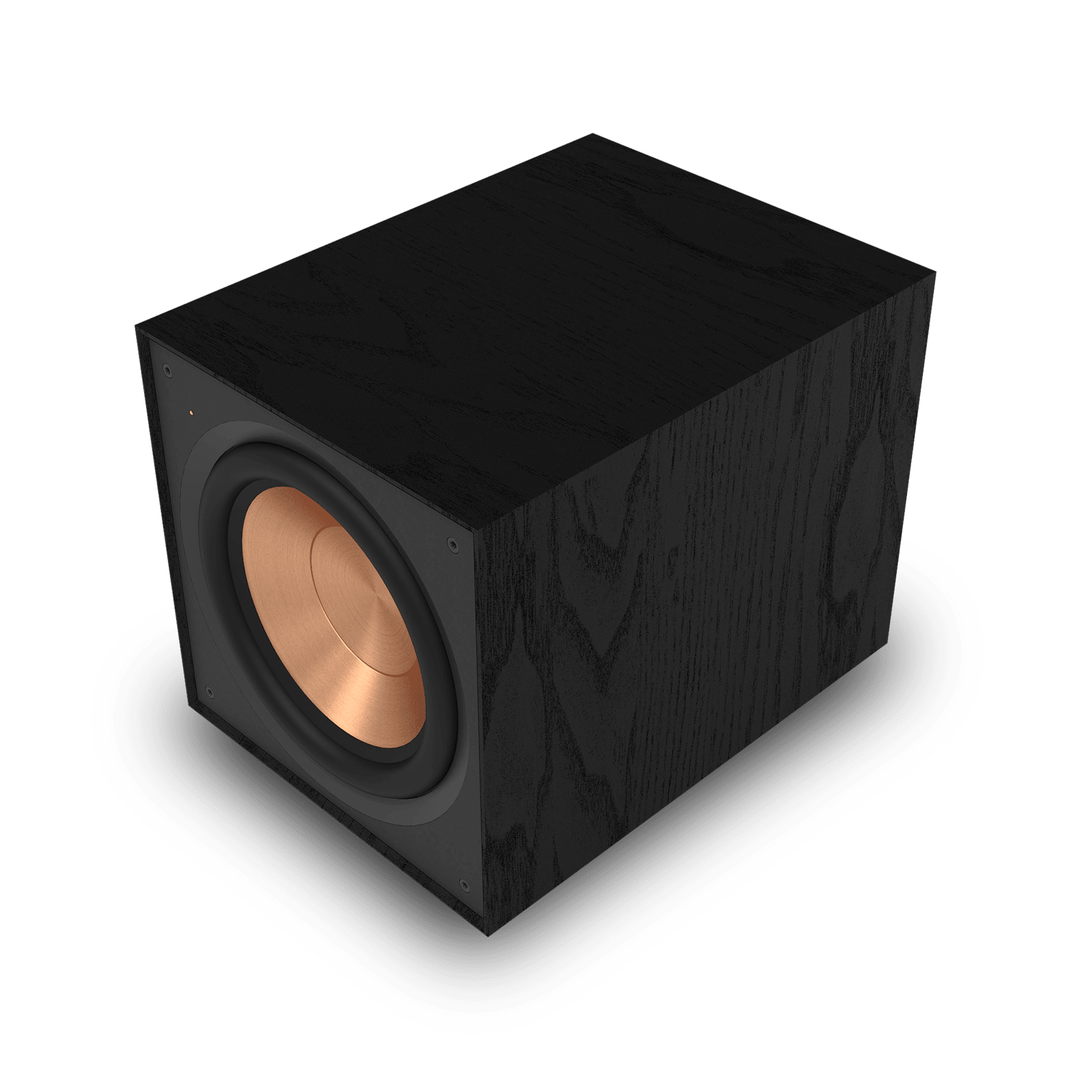 Klipsch R-101SW Powered Subwoofer