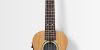 Kala James Hill Signature All Solid Mahogany Concert with EQ with Bag