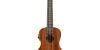 Kala Mahogany Concert Ukulele with Pickup & Bag